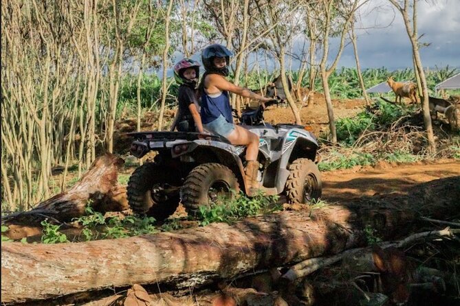 Oahu Beachfront ATV Adventure and Farm Tour - The 45-minute ride: oceanfront farm land, track time, and realistic pace