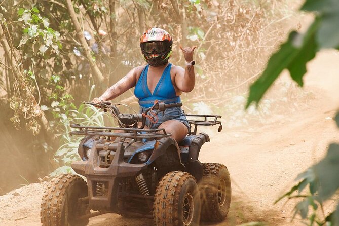 Oahu Beachfront ATV Adventure and Farm Tour - Farm animals and “working land” lessons, from Korean Natural Pig Farming