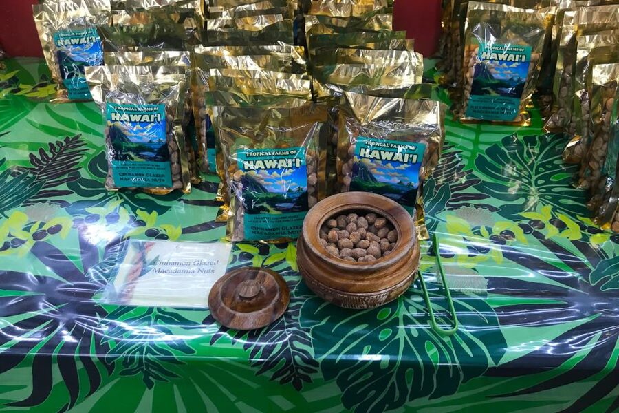Oahu: Beauty and the Feast Circle Island Experience - Pickup, the bus day, and how to make timing work for you