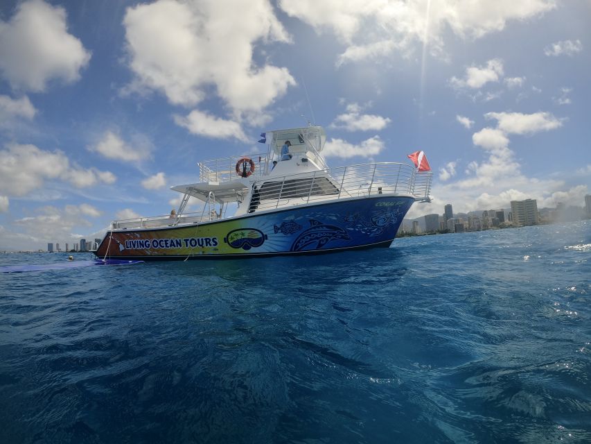 Oahu: BYOB or Cash Bar Waikiki Sunset Cruise - Kewalo Basin Pier B: Where the Cruise Begins