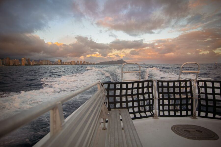 Oahu: BYOB or Cash Bar Waikiki Sunset Cruise - Dolphins, Whales, and the Chance of a Bonus Moment