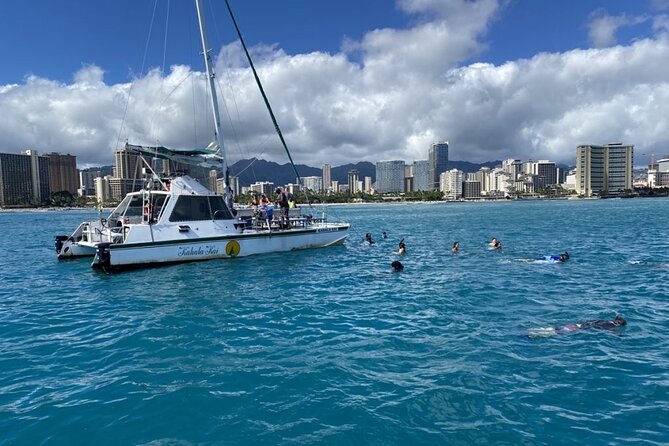 Oahu Catamaran Snorkel Tour: See Turtles 100% Guaranteed - Turtle Canyon in Waikiki: what this tour does well