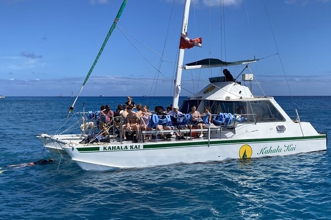 Oahu Catamaran Snorkel Tour: See Turtles 100% Guaranteed - Wildlife chances beyond turtles: dolphins, whales, and more