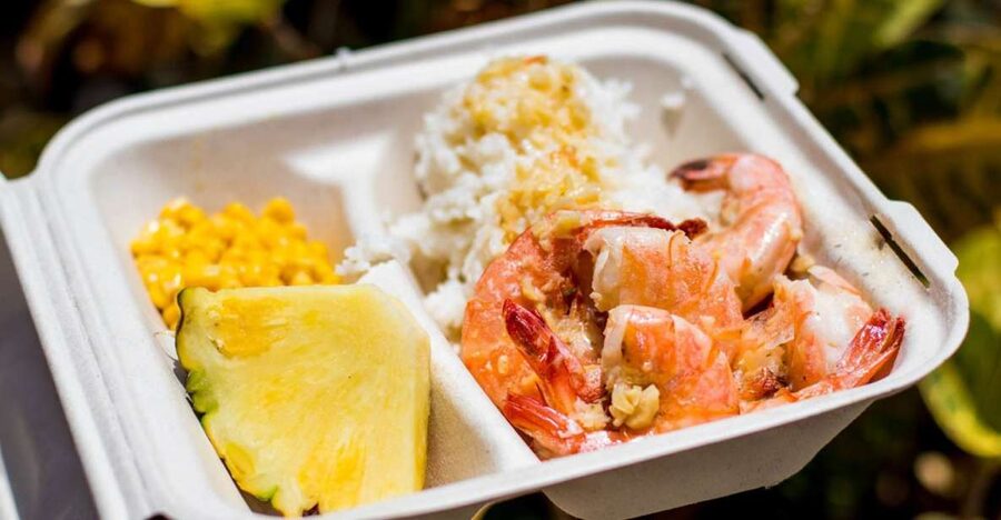 Oahu: Circle Island Day Trip with Shrimp Plate Lunch - Pickup, timing, and how long the stops really feel