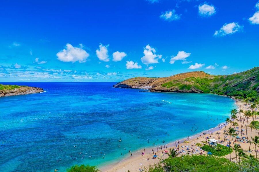 Oahu: Circle Island Top Sights Full-Day Tour w/ Local Guide - Quick hits before you go