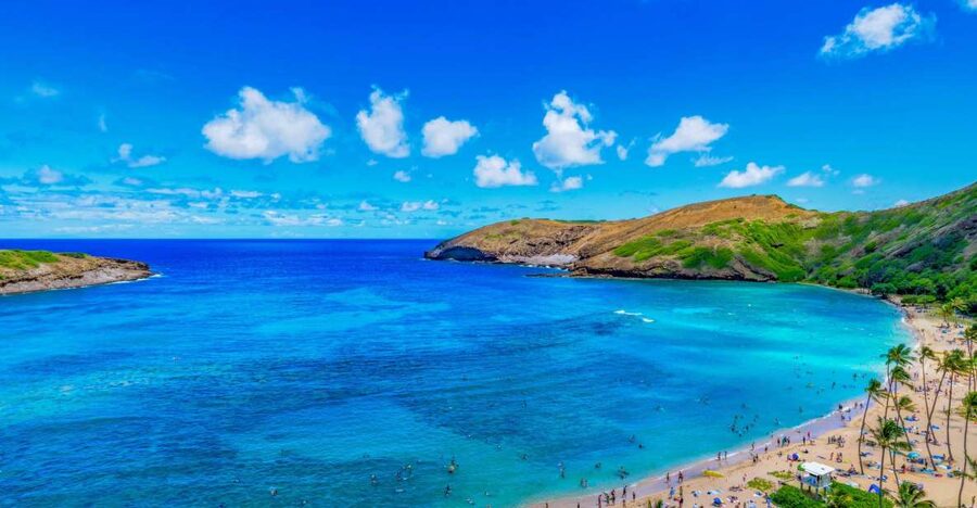Oahu: Circle Island Top Sights Full-Day Tour w/ Local Guide - Nu’uanu Pali Lookout: panoramic views, plus the Kamehameha I backstory