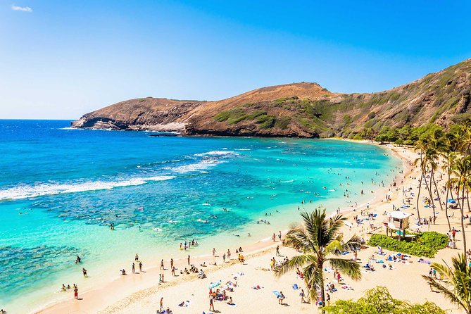 Oahu Circle Island Tour - Pickup near Waikiki: how to avoid the most common stress