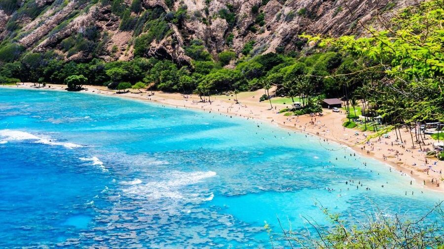 Oahu Circle Island Tour - Best Spots & Beaches - Haleiwa and the Food Trucks Break: Lunch Timing Matters
