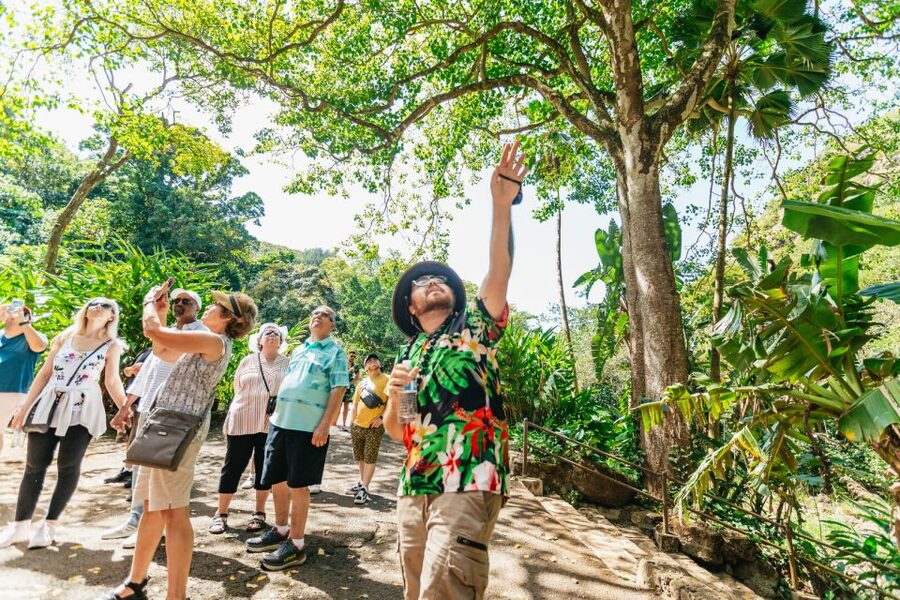 Oahu: Circle Island Tour with Lunch & Waimea Waterfall - Key things that make this tour a strong Oahu day