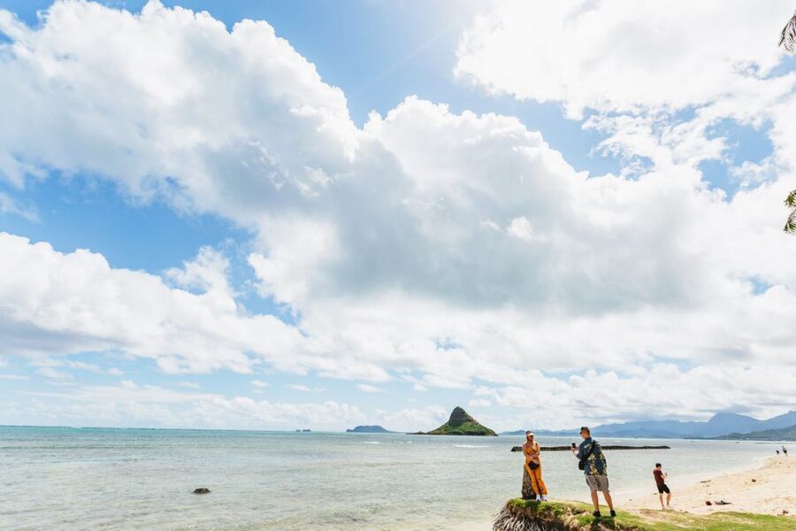 Oahu: Circle Island Tour with Lunch & Waimea Waterfall - Haleiwa: one hour to browse, eat local flavors, and scan the shoreline