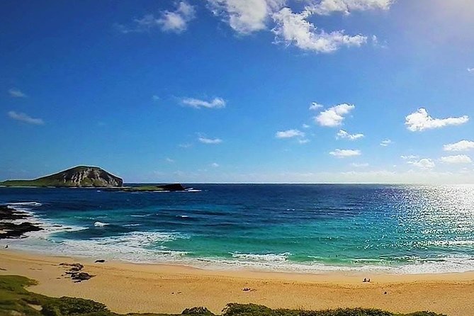 Oahu Circle Island Tour with Turtle Snorkeling— Small-Groups - Makapu’u, Waimanalo, and the windward coast vibe shift