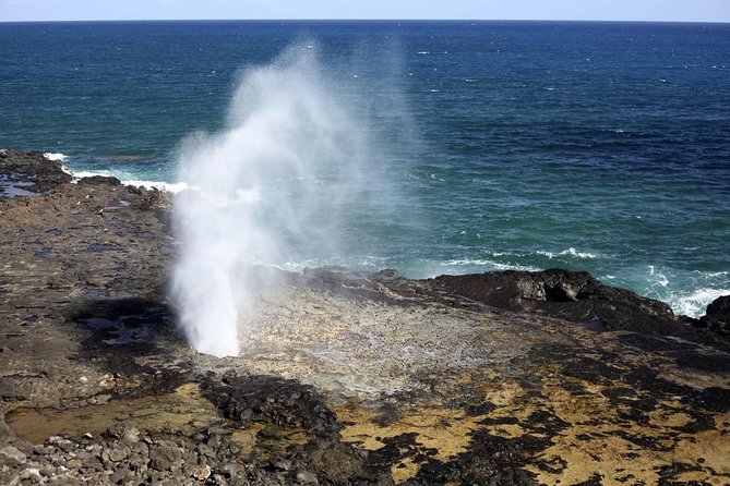 Oahu Circle Island Tour with Waimea Waterfall - Tastings, Kualoa Valley Views, and Fruit Stand Breaks