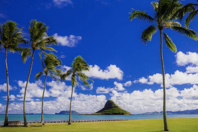 Oahu Circle Island Tour with Waimea Waterfall - Dole Plantation, Pearl Harbor Glimpses, and Honolulu Finishing Touches