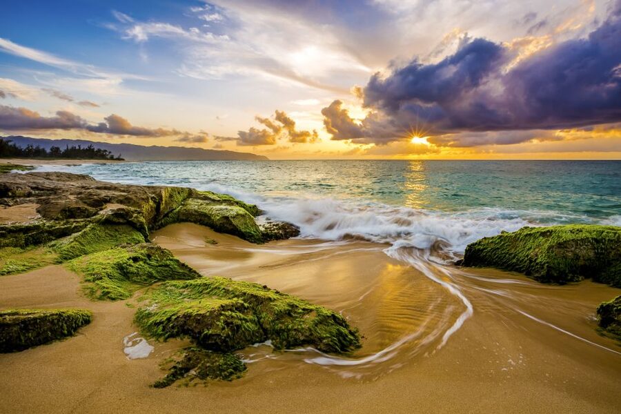 Oahu: Complete Island Tour with Tropical Waterfall Swimming - Who Should Book This, and Who Might Want Another Plan
