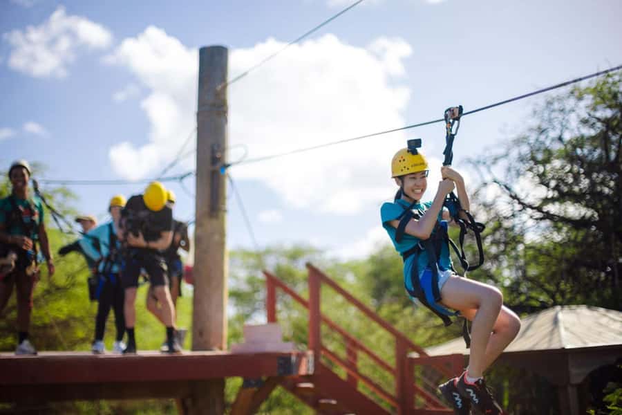 Oahu: Coral Crater Zipline Tour - Coral Crater Zipline Tour, the quick vibe check