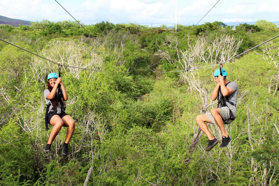 Oahu: Coral Crater Zipline Tour - Price and value: what $105 buys you