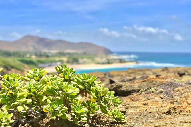 Oahu Custom Private Circle Island and Mini Circle Island Tours - A private circle island day that is really about choices