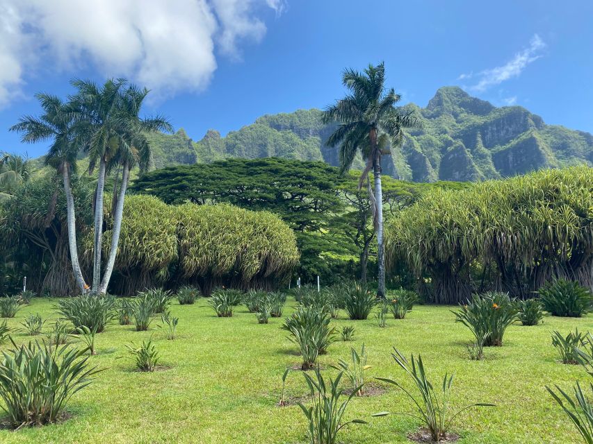 Oahu: Diamond Head Crater Hike and North Shore Experience - Kahuku Sugar Mill lunch and the garlic shrimp plate moment