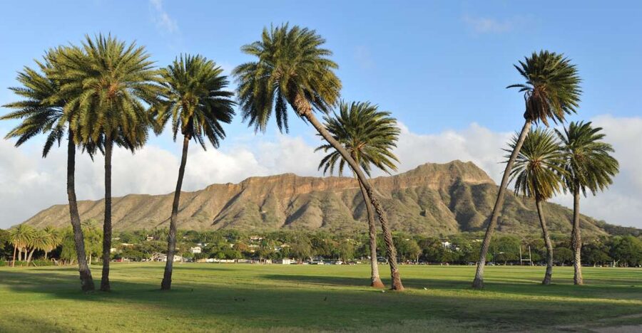 Oahu: Diamond Head Hike with Roundtrip Transportation - Summit views at sunrise: 360 degrees that make the early start feel worth it