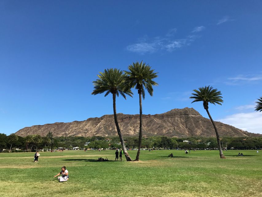 Oahu: Diamond Head Sunrise Hike with Acai Bowl and Malasada - Who Should Book This Diamond Head Sunrise Tour