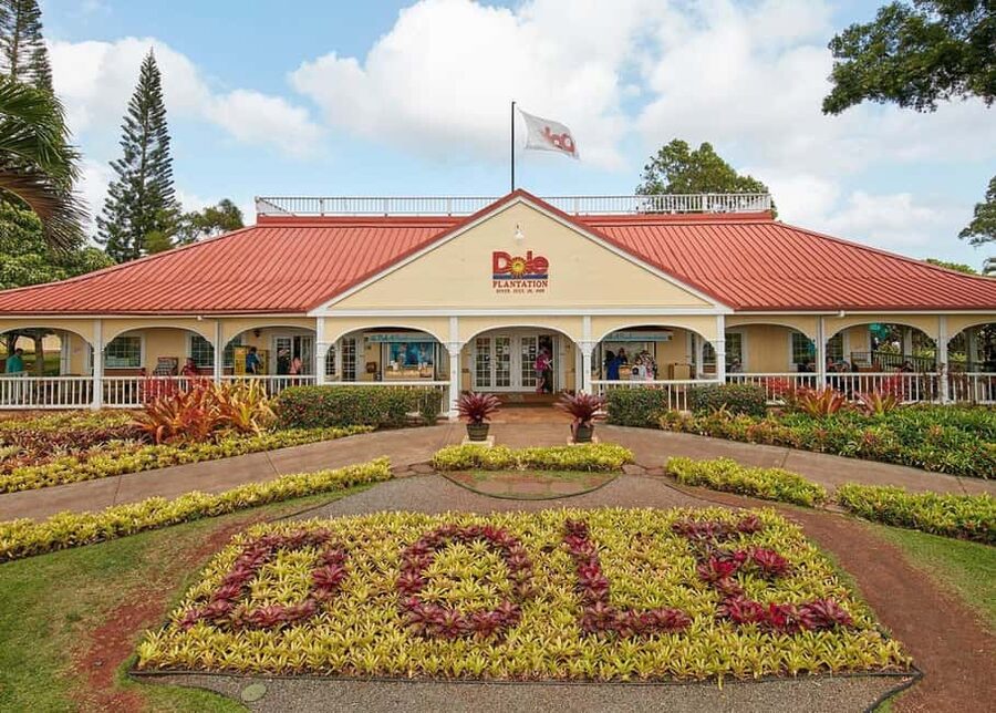 Oahu: Dole Plantation & Haleiwa Express Deluxe Tour - Pickup Around Waikiki: How the Morning Sets the Tone