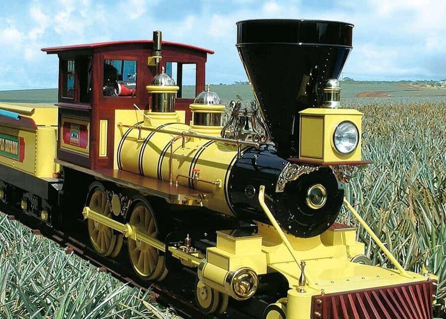 Oahu: Dole Plantation & Haleiwa Express Deluxe Tour - Haleiwa Town: Surf Culture, Lunch Time, and Shopping Stops