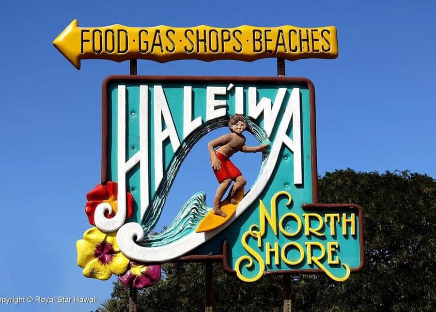 Oahu: Dole Plantation & Haleiwa Express Deluxe Tour - Deluxe Motorcoach Comfort: What Makes the Ride Worth It