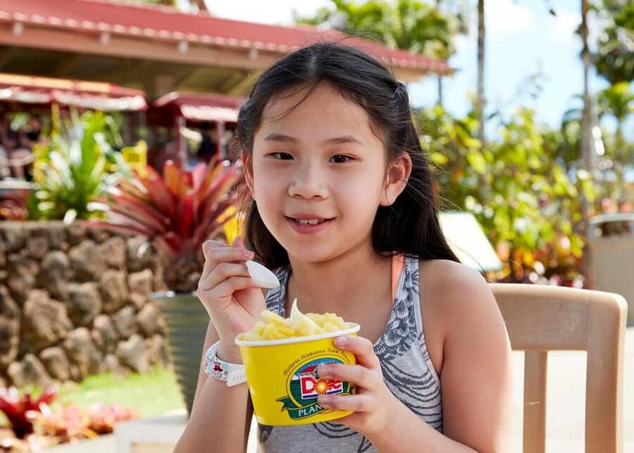 Oahu: Dole Plantation & Haleiwa Express Deluxe Tour - Who Should Book This Tour, and Who Might Pass