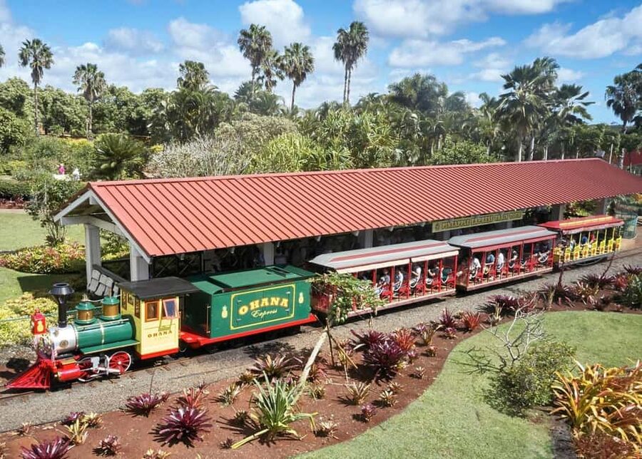 Oahu: Dole Plantation & Haleiwa Express Deluxe Tour - A Note on Accessibility and Comfort Before You Go