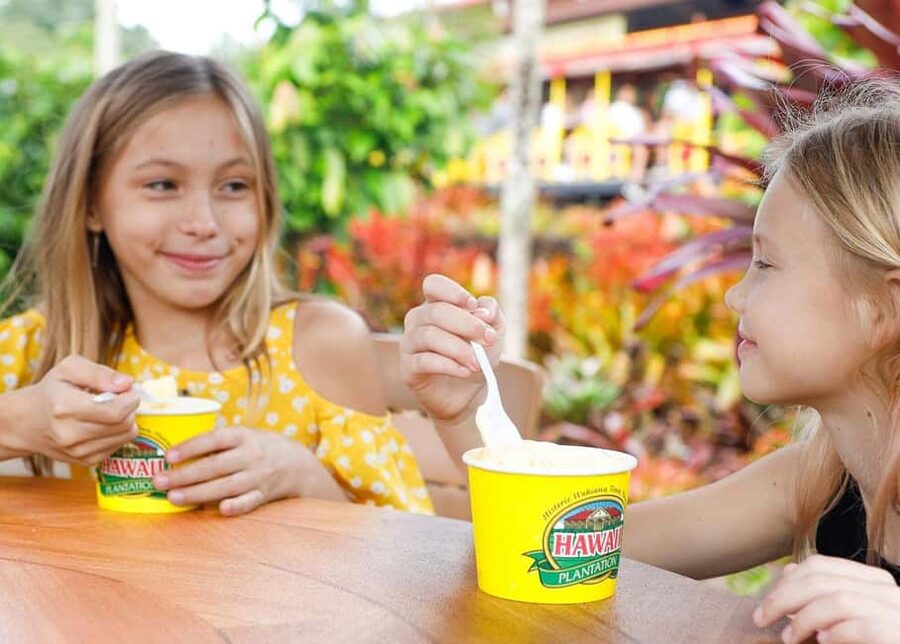 Oahu: Dole Plantation & Haleiwa Express Deluxe Tour - Dole Plantation: Train, Maze, and Country Store Time