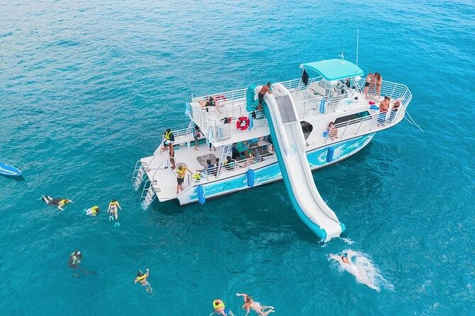 Oahu Dolphin and Snorkel Tour with Waikiki Pickup & Lunch - Quick Take: Key points that matter before you go