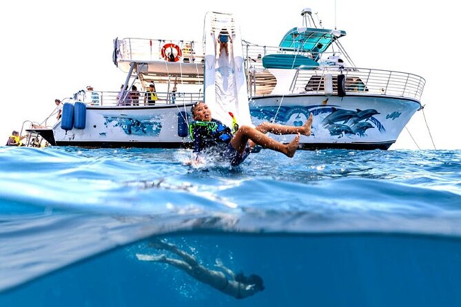 Oahu Dolphin and Snorkel Tour with Waikiki Pickup & Lunch - A morning boat trip that mixes dolphins, turtles, and playground energy