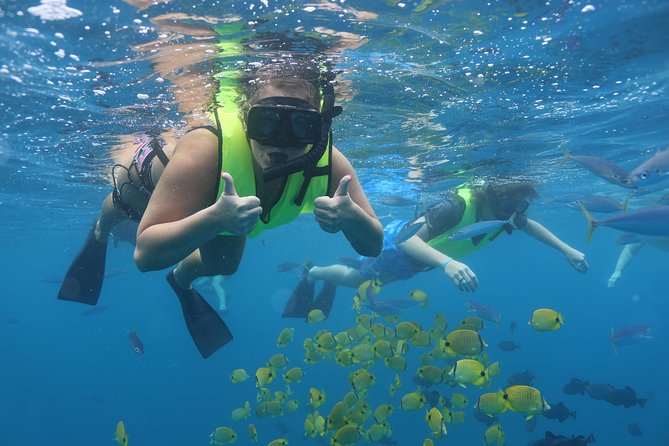 Oahu Dolphin and Snorkel Tour with Waikiki Pickup & Lunch - Getting to Wai’anae Small Boat Harbor from Waikiki, without losing your morning