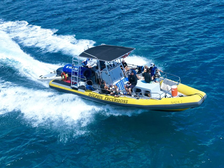 Oahu: Dolphin Swim and Turtle Snorkel Excursion in Waianae - Searching for Wild Dolphins (and Winter Whale Bonus)