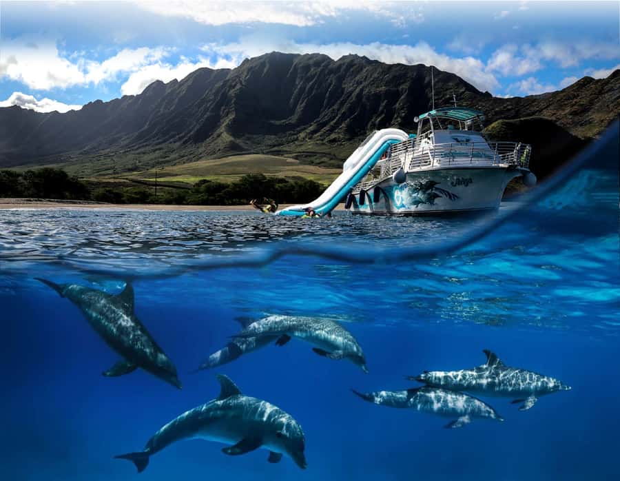 Oahu: Dolphin Watching & Turtle Snorkeling with Waterslide - E Ho Mai, Safety Briefing, and the Onboard Tone