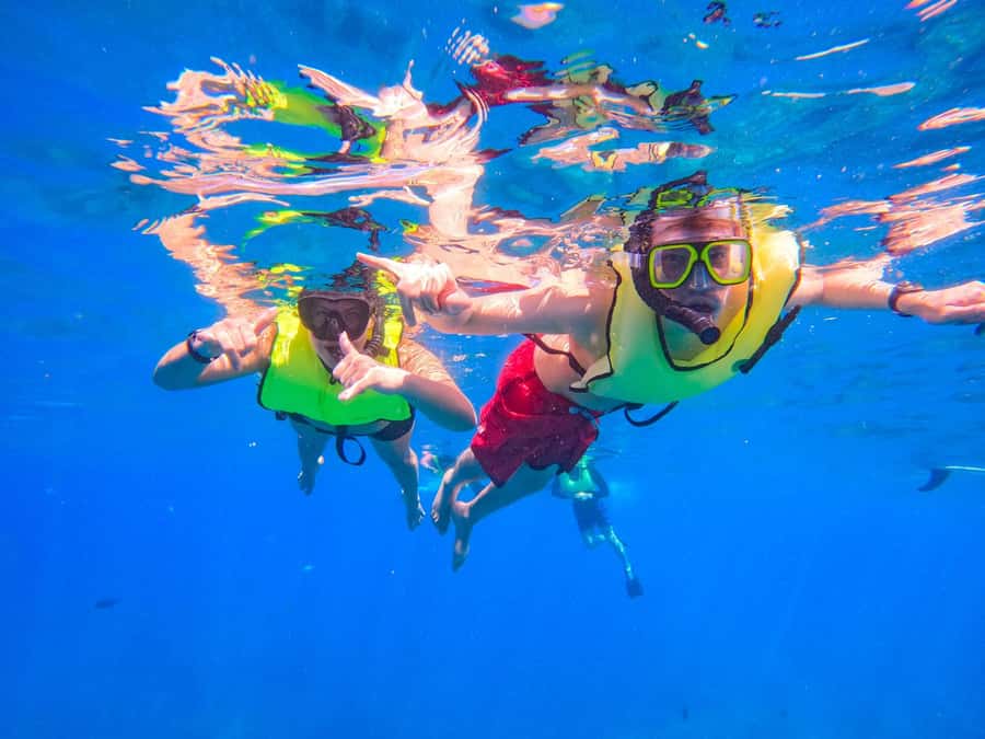 Oahu: Dolphin Watching & Turtle Snorkeling with Waterslide - Lunch, Hula, and How the Cultural Part Fits the Day