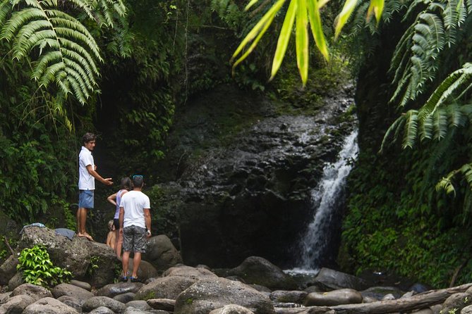Oahu friendly hiking experience - Key things to know before you lace up