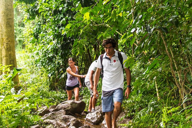 Oahu friendly hiking experience - Private guided Oahu hiking: what it feels like on the ground