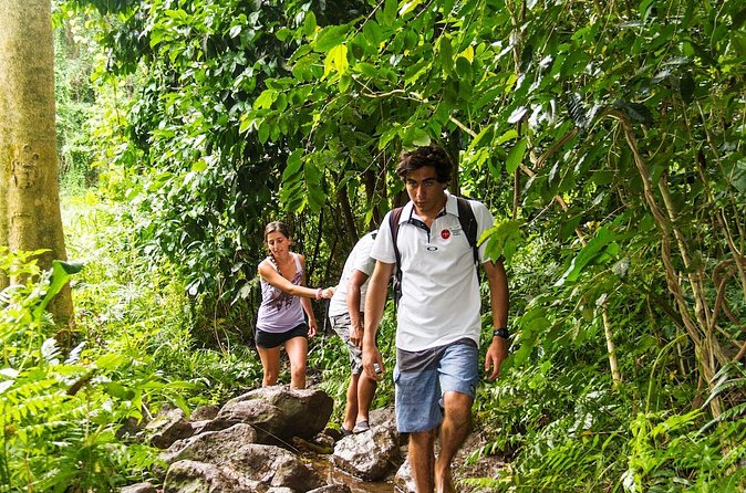 Oahu friendly hiking experience - Maunawili Falls: waterfall hike with more time to savor it