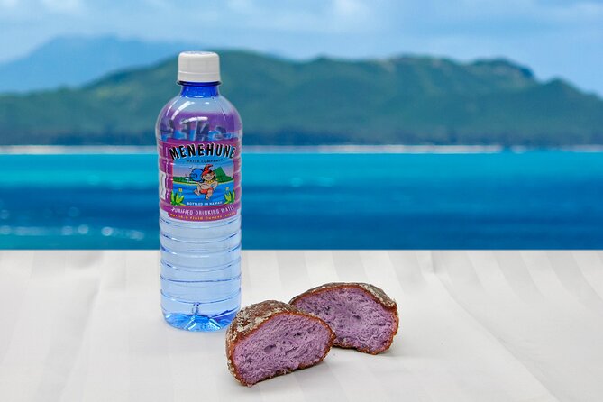 Oahu Grand Circle Island and Haleiwa Tour: 9-Hr Deluxe Experience - By the road: “window view” sightseeing that actually helps