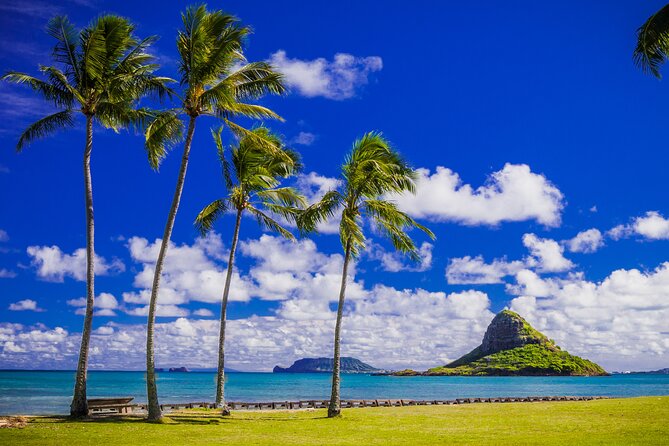 Oahu Grand Circle Island and Haleiwa Tour: 9-Hr Deluxe Experience - Haleiwa: lunch, shops, and the North Shore vibe
