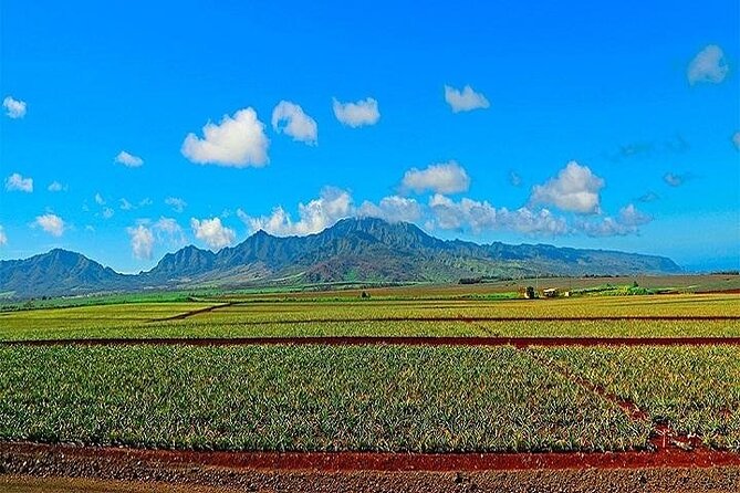 Oahu Grand Circle Island Experience Departing from Maui - Diamond Head viewpoint and the Amelia Earhart Marker area