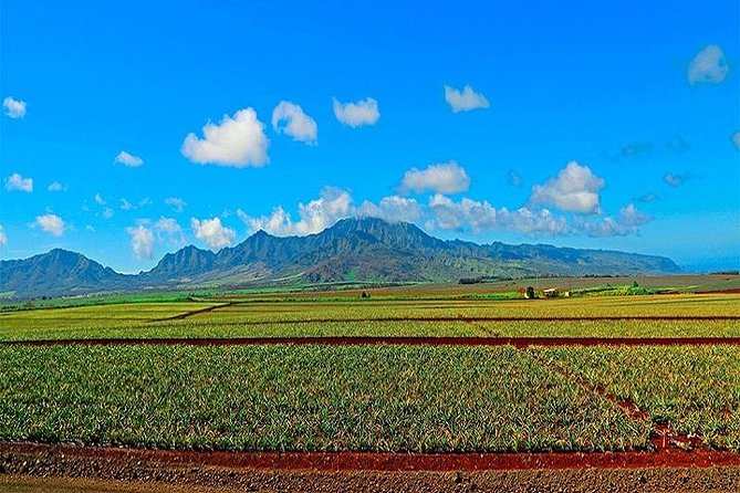 Oahu Grand Circle Island Tour Departing from Waikiki - Your Day Starts With Waikiki, Ends With You Tired in a Good Way