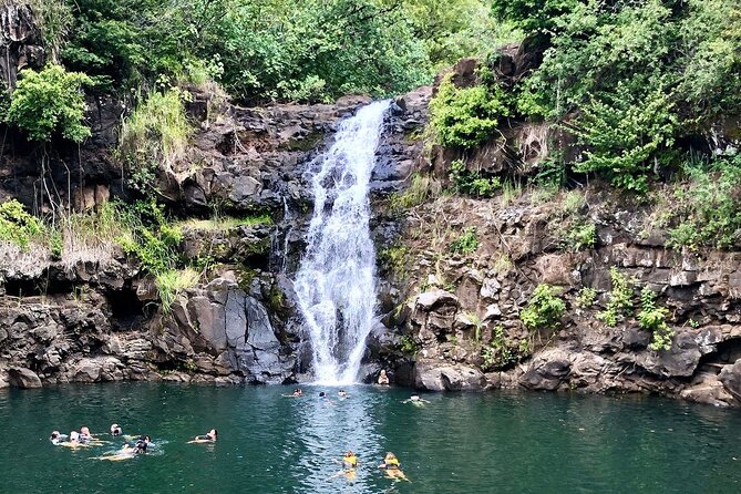 OAHU GRAND CIRCLE Waimea Waterfall, Turtle Beach, North Shore. - Key Highlights You’ll Actually Care About