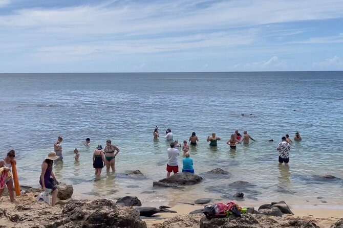 Oahu Guided Circle Island Tour, Swim w/ Turtles, Dole, Blowhole - Diamond Head State Monument, Lookouts With Meaning