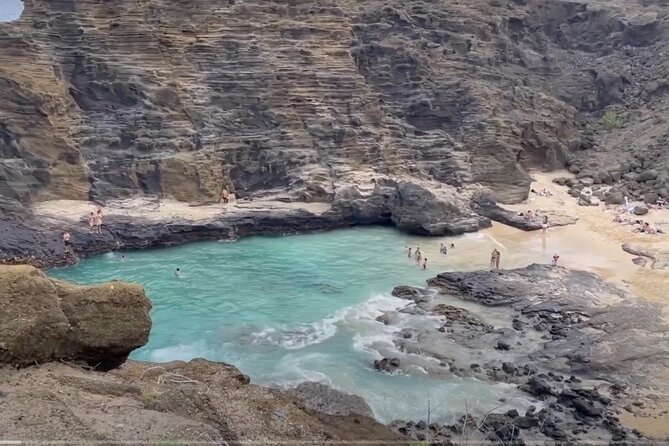 Oahu Guided Circle Island Tour, Swim w/ Turtles, Dole, Blowhole - Macadamia Nut Farm With Kona Coffee and Real Samples