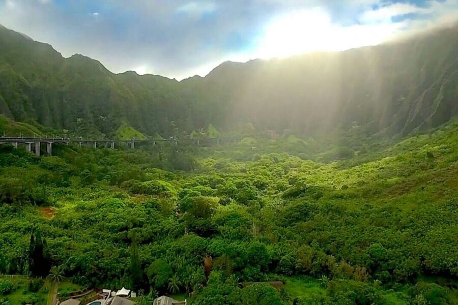 Oahu: Guided Tour of North Shore and Waimea Botanical Garden - Why This 9-Hour North Shore and Waimea Day Works