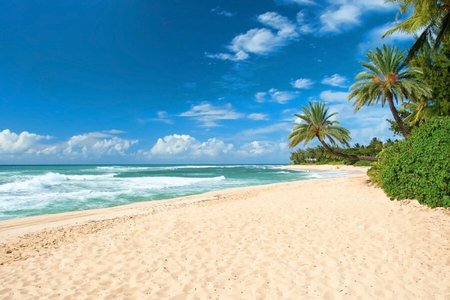 Oahu: Guided Tour of North Shore and Waimea Botanical Garden - North Shore Beaches and Sunset Beach: Where the Waves Steal Attention