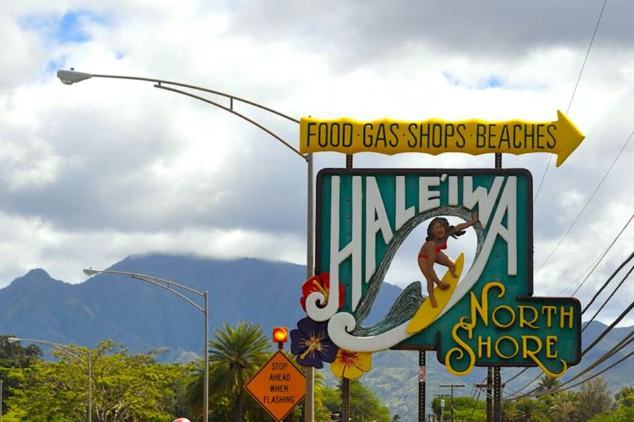 Oahu: Guided Tour of North Shore and Waimea Botanical Garden - Dole Plantation Finale and the Ride Back South