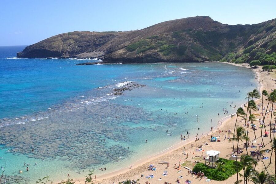 Oahu: Guided Tour of North Shore and Waimea Botanical Garden - What to Bring and How to Handle Road Changes
